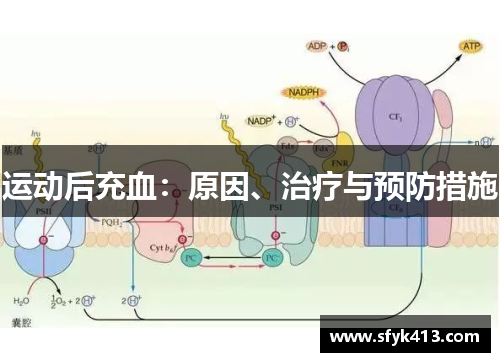 运动后充血：原因、治疗与预防措施